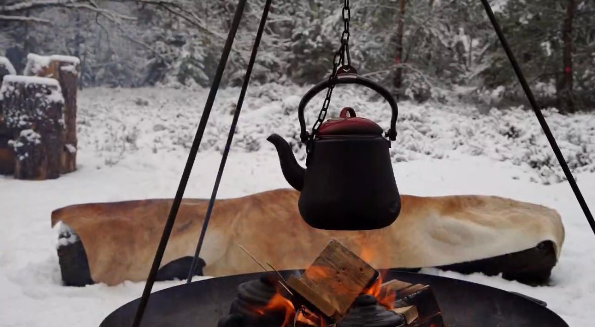Bushcraft shelter in het bos